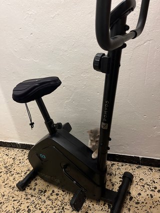 Bicicleta Estática Domyos