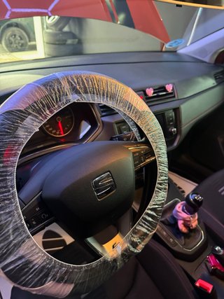 LIMPIEZA PROFESIONAL DE COCHES