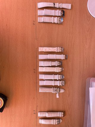 Confezione da 10 cinture per orologi bianche