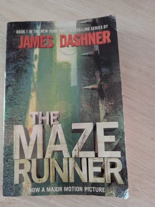 The maze runner