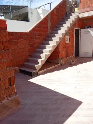 Albañil Profesional