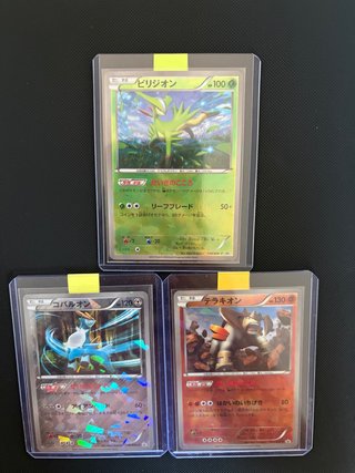 3Cartas Pokémon BW Promos