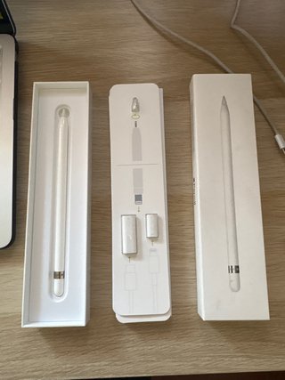 Apple Pencil 1ª Gen