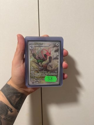 Unfezant Carta Pokémon Español