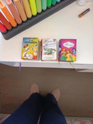 Princesas Libro Miniatura