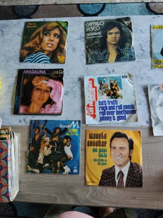 Lote Vinilos Pop Rock Latino Flamenco
