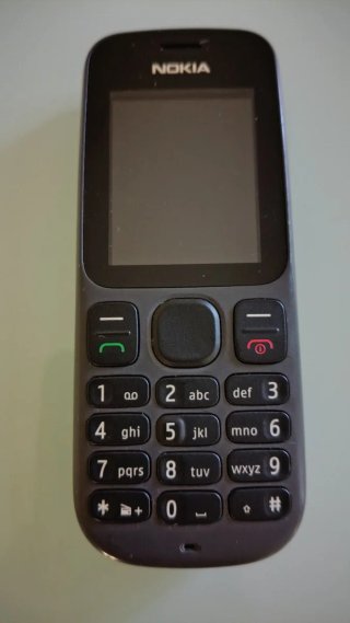 Nokia 100