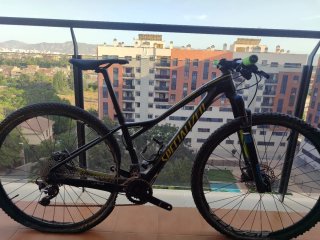 Bicicleta Specialized Fate 29 Carbono