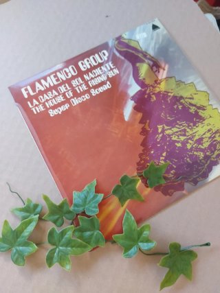 Vinilo Flamenco Group - La Casa del Sol Naciente