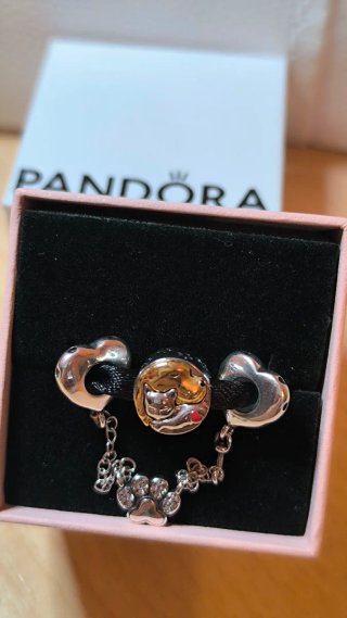 Charm y Cadena Seguridad  Gato y perro