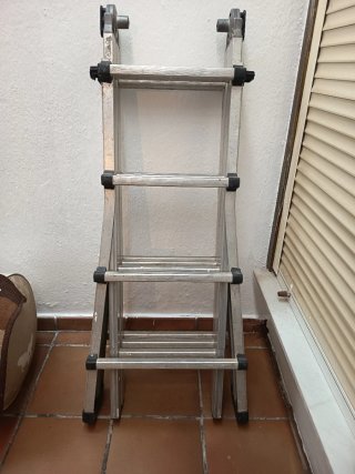 Escalera Profesional Extensible