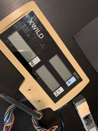 Pantalla XWILD para báscula electrónica