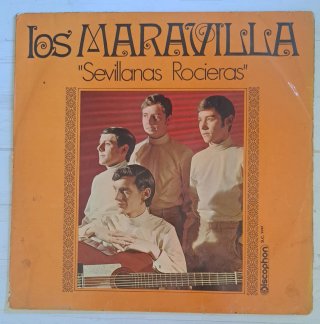 Lote de discos de vinilo