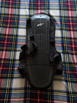 Espaldera Alpinestars Bionic Air