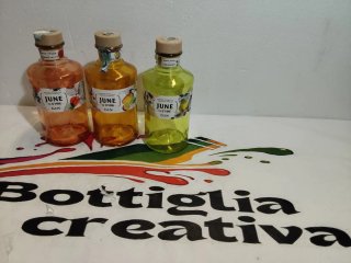 3 Bottiglie vuote di Gin June