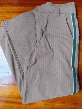 Pantalón de vestir a rayas