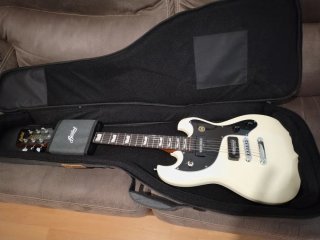 Guitarra Eléctrica Baúm + Funda. No cambio.