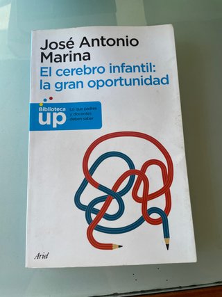 El cerebro infantil: la gran oportunidad
