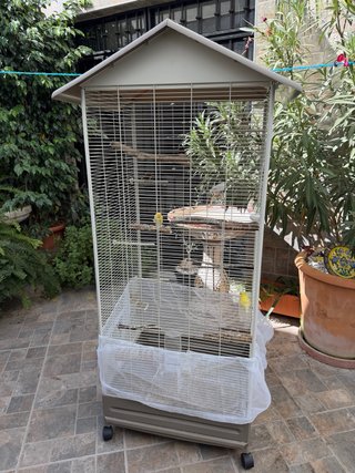 Pajarera Voladera para Aves