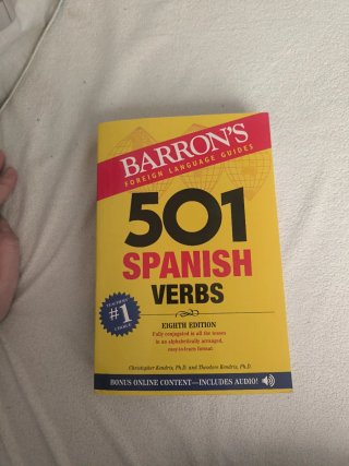 501 Spanish Verbs