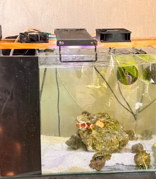 Acuario Marino URGENTE