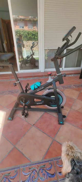 Bicicleta Spinning Cecotec Indoor 1000