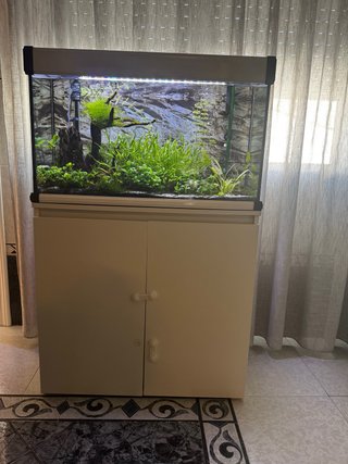 Acuario 110L con mueble o sin mueble