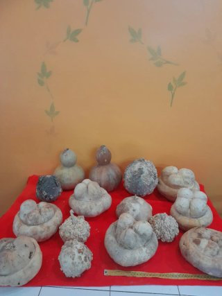 Calabazas decorativas vaciadas