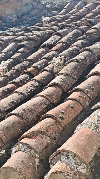 Teja Árabe Antigua  gratis si la desmontas tu