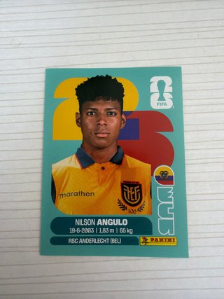 Cromo Panini Mundial 2022 Nilson Angulo