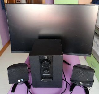 Pantalla y Altavoces Ordenador
