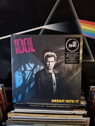 Vinile Billy Idol - Dream Into It