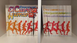 Colección completa libros érase una vez el cuerpo
