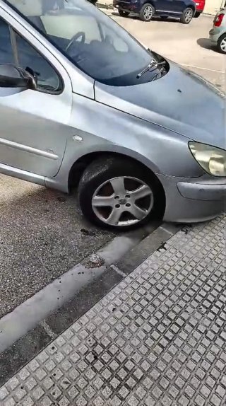 Peugeot 307 2004
