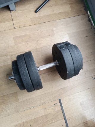 Mancuerna de 15,5kg