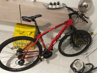 Bicicleta Racer