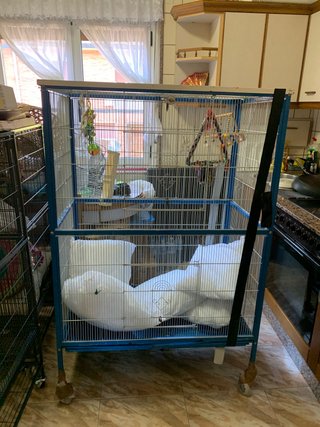 Jaula grande para pájaros y loros