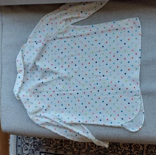 Camisa Chareli con Topos