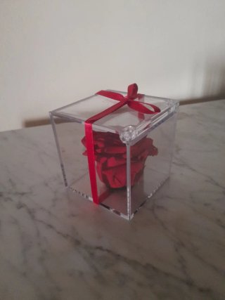 Rosa Roja en Caja Transparente con Lazo