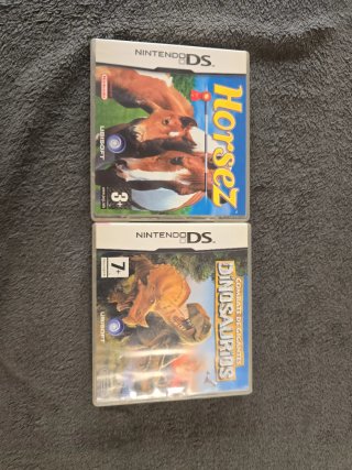 2 Giochi Nintendo DS