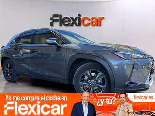 Lexus UX 2.0 250h Executive