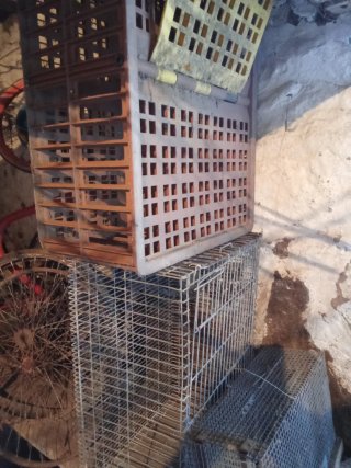 Jaulas para pollos