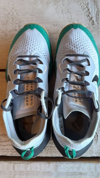 Zapatillas Trail Nike Terra Kiger