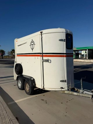 SE VENDE VAN PARA CABALLOS – MARCA CARRO