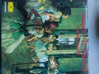 Colección 10 Vinilos Deutsche Grammophon