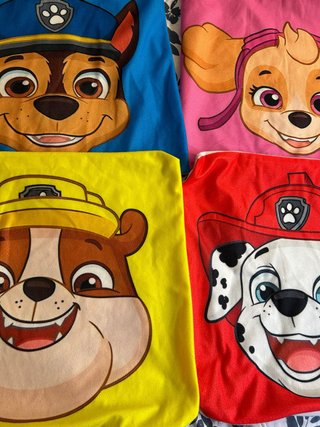Fundas Cojín Infantil Paw Patrol