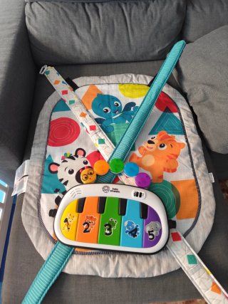 Gimnasio de Actividades Baby Einstein