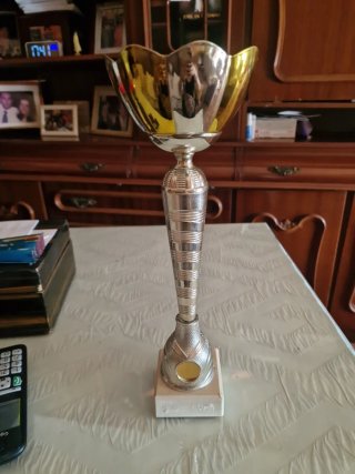 Copa Deportiva Decorativa