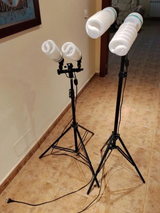Set de 2 Focos para Fotografía
