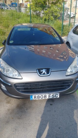 Peugeot 407 2007